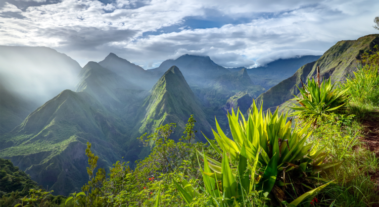 Réunion